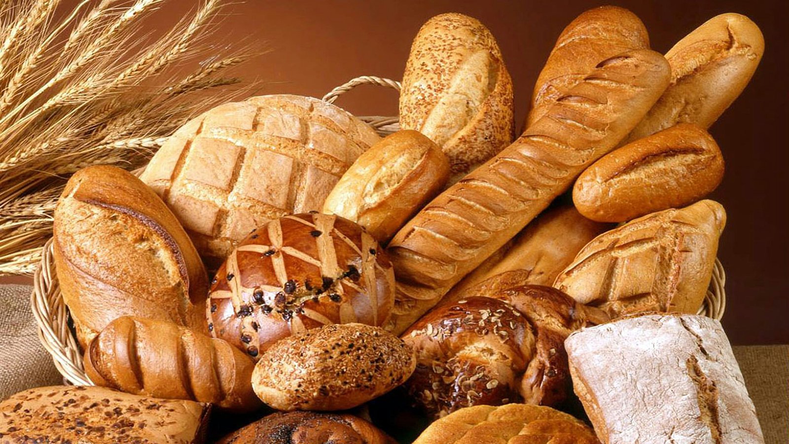 Whole Wheat Toast